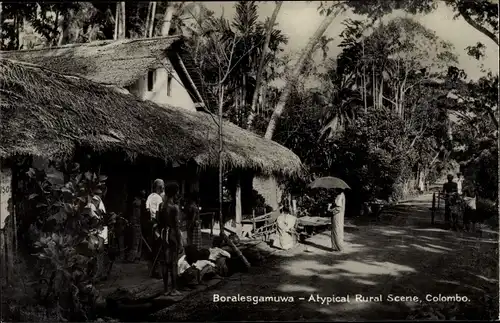 Ak Boralesgamuwa Colombo Ceylon Sri Lanka, A typical rural Scene