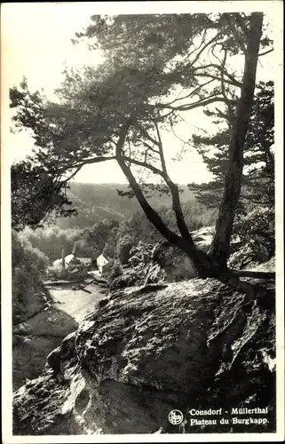 Ak Consdorf Luxemburg, Müllerthal, Plateau du Burgkapp