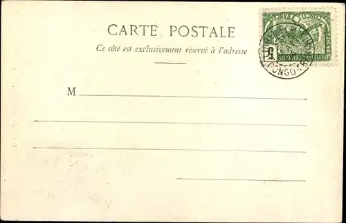 Ak Congo Französisch Kongo, Un Euphorbe