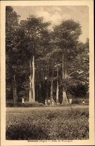 Ak Bamako Mali, Allee de Fromagers