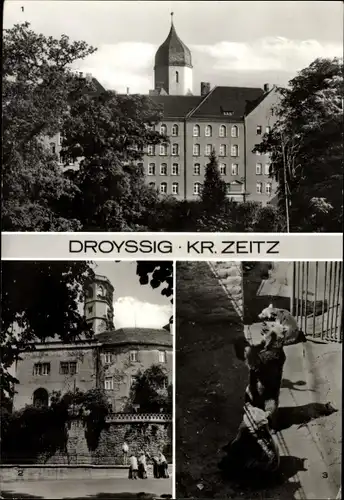 Ak Droyßig im Burgenlandkreis, Zentralinstitut Ernst Thälmann, Am Bärenzwinger, Bären
