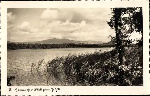 Ak Hamr na Jezeře Hammer am See Region Reichenberg, Hammersee, Jeschken