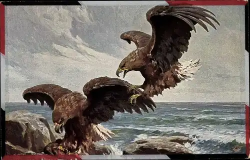 Künstler Ak Schmidt, Hans, Steinadler streiten sich um Beute