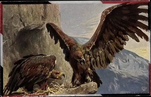 Künstler Ak Schmidt, Hans, Zwei Steinadler am Nest