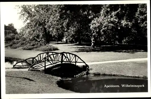 Ak Apeldoorn Gelderland, Wilhelminapark