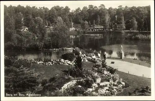 Ak Apeldoorn Gelderland, Berg en Bos