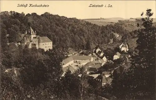 Ak Liebstadt im Erzgebirge, Blick auf den Ort mit Umgebung und Schloss Kuckuckstein