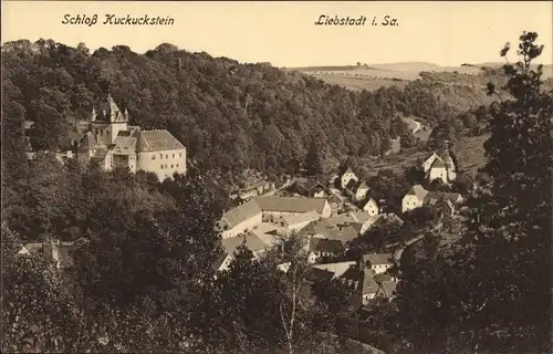 Ak Liebstadt im Erzgebirge, Blick auf den Ort mit Umgebung und Schloss Kuckuckstein