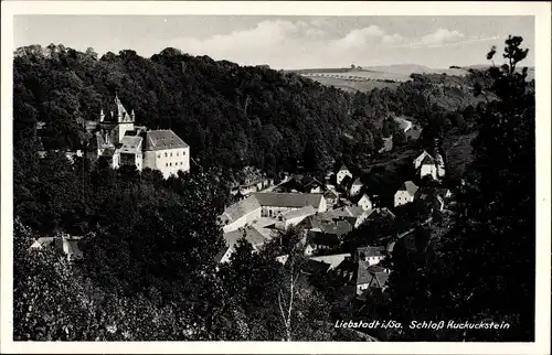 Ak Liebstadt im Erzgebirge, Blick auf das Schloss Kuckuckstein, Stadtansicht