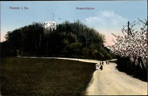 Ak Nossen Landkreis Meißen, Partie vom Bergschlößchen, Wald