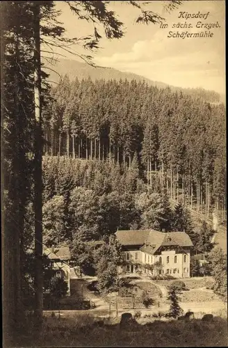 Ak Kipsdorf Altenberg im Erzgebirge, Blick auf die Schäfermühle, Wald