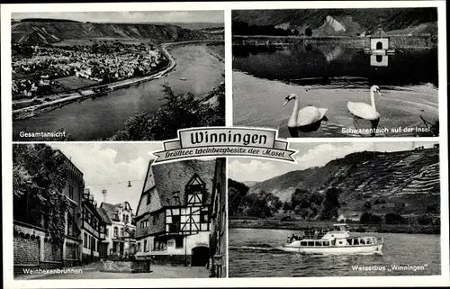 Ak Winningen in Rheinland Pfalz, Wasserbus Winningen, Weinhexenbrunnen, Ortsansicht