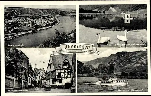 Ak Winningen in Rheinland Pfalz, Wasserbus Winningen, Weinhexenbrunnen, Ortsansicht