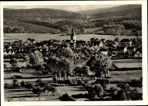 Ak Horn Bad Meinberg im Kreis Lippe, Totalansicht