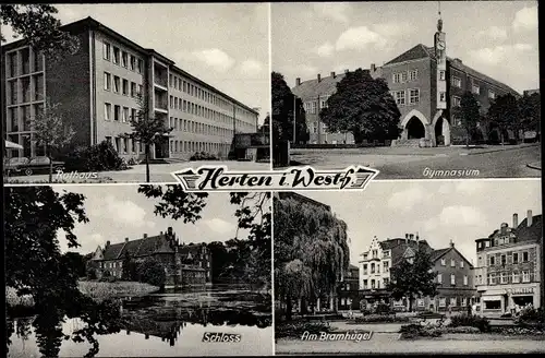 Ak Herten im Ruhrgebiet, Rathaus, Gymnasium, Schloss, Bramhügel