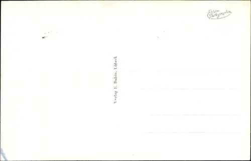 Ak Norderney in Ostfriesland, Möwe im Flug