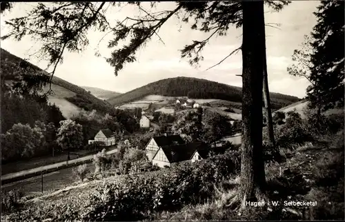 Ak Hagen in Westfalen, Selbecketal