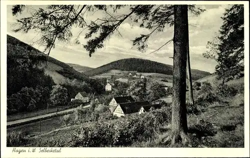 Ak Hagen in Westfalen, Selbecketal