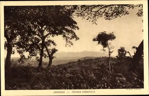 Ak Kamerun, Paysage Grassfield, Landschaft, Wald, Steppe
