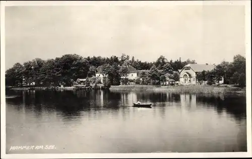 Foto Ak Hamr na Jezeře Hammer am See Region Reichenberg, Wasserpartie, Ruderboot, Gebäude