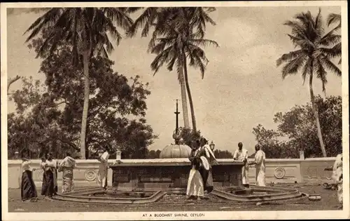 Ak Ceylon Sri Lanka, At a Buddhist Shrine