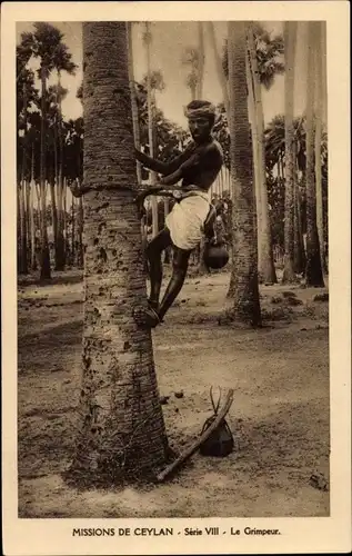 Ak Ceylon Sri Lanka, Missions de Ceylan, le Grimpeur, Mann klettert Palme hoch