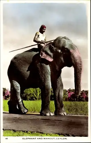 Ak Sri Lanka Ceylon, Elephant and Mahout