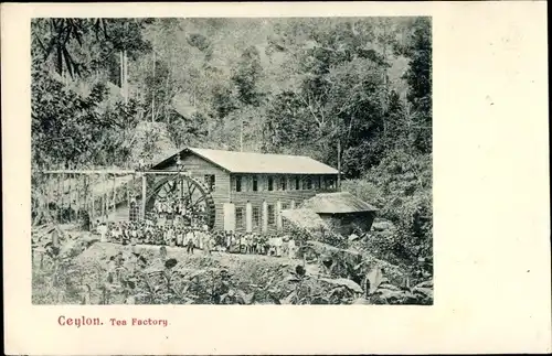 Ak Ceylon Sri Lanka, The Factory, Wassermühle