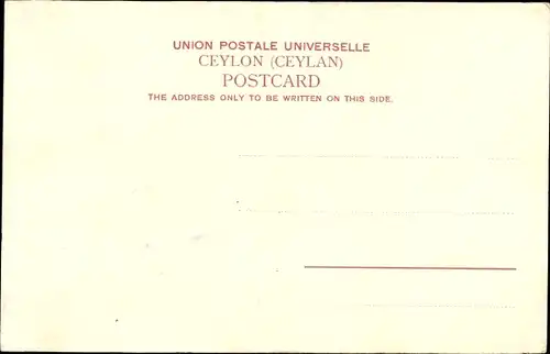 Ak Ceylon Sri Lanka, The Factory, Wassermühle