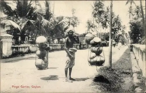 Ak Ceylon Sri Lanka, Pingo Carrier
