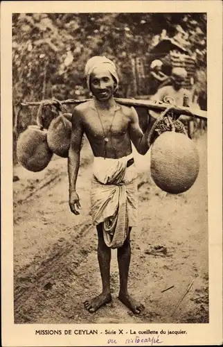 Ak Ceylon Sri Lanka, La cueillette du jacquier, Ernte von Jackfrucht, Missionnaires Oblats