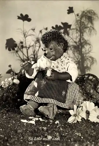 Ak Mecki der Igel, Er liebt mich doch, Igelfrau zupft Blütenblätter von Blumen