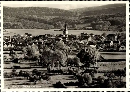 Ak Horn Bad Meinberg in Lippe Teutoburger Wald, Totalansicht