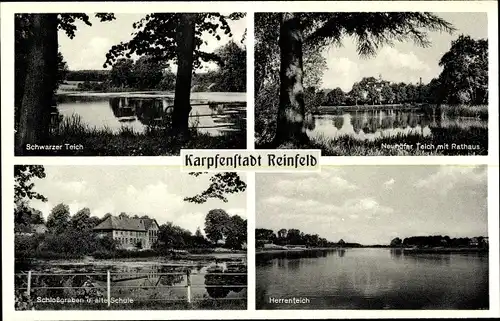 Ak Reinfeld in Holstein, Schwarzer Teich, Neuhöfer Teich mit Rathaus, Schlossgraben u. alte Schule