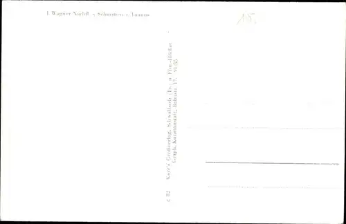 Ak Schmitten im Taunus Hessen, Gesamtansicht