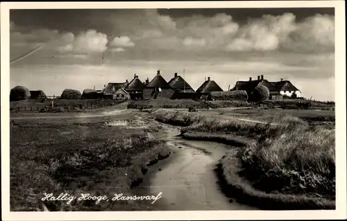 Foto Ak Hallig Hooge in Nordfriesland, Reetdachhäuser, Hanswarf