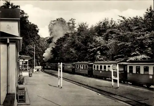 Ak Heiligendamm Bad Doberan im Kreis Rostock, Bahnhof mit Bäderbahn Molli, Bahnstrecke