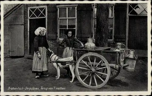 Ak Brabantsch Dorpsleven, Terug van't melken, Milchkarren, Zughund, Trachten