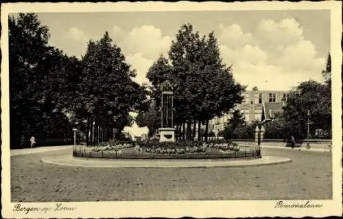 Ak Bergen op Zoom Nordbrabant Niederlande, Pomonalaan