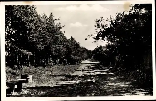 Ak Appelscha Fryslân Friesland Niederlande, In de duinen