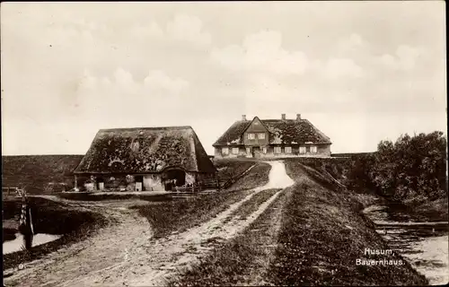 Ak Husum in Nordfriesland, Bauernhaus