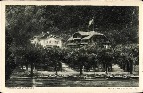 Ak Weesen Kanton Sankt Gallen, Hotel Pension du Lac