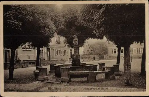 Ak Büdingen in Hessen, Brunnen am Markt