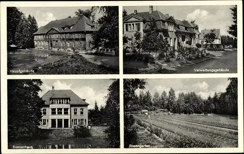 Ak Tiefenbrunn Mengershausen Rosdorf Niedersachsen, Landessanatorium Rasemühle, Rosengarten