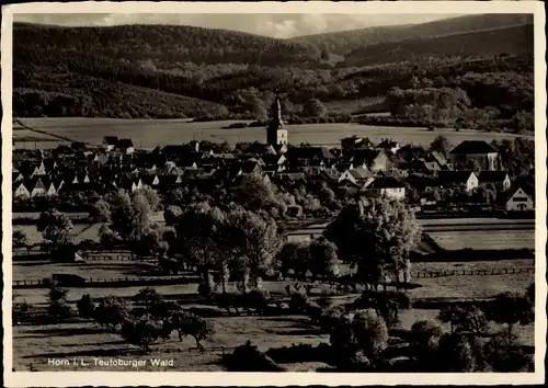 Ak Horn Bad Meinberg in Lippe Teutoburger Wald, Totalansicht