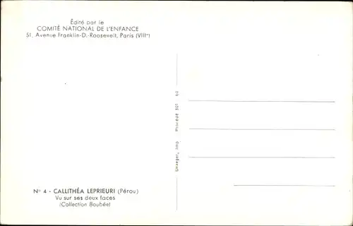 Ak Callithea Leprieuri, Schmetterling