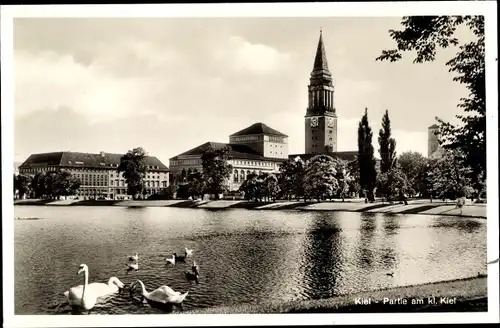Ak Kiel, Kleiner Kiel, Partie mit Rathaus u. Stadttheater, Schwäne