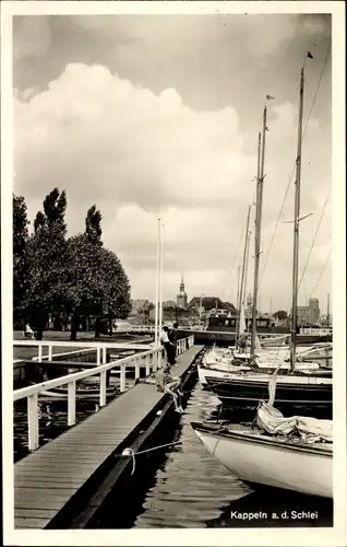 Ak Kappeln an der Schlei, Anleger, Panorama