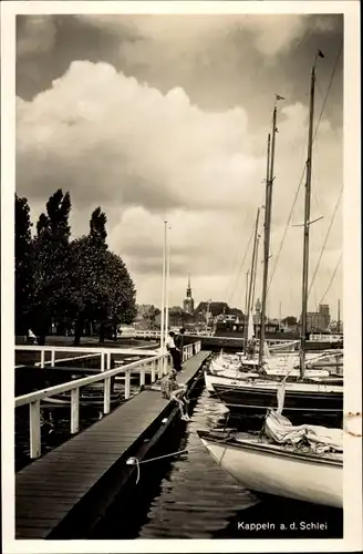 Ak Kappeln an der Schlei, Anleger, Panorama