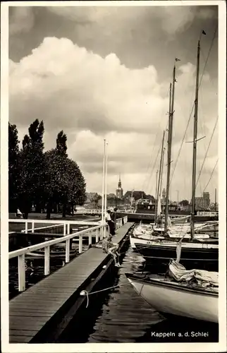 Ak Kappeln an der Schlei, Anleger, Panorama